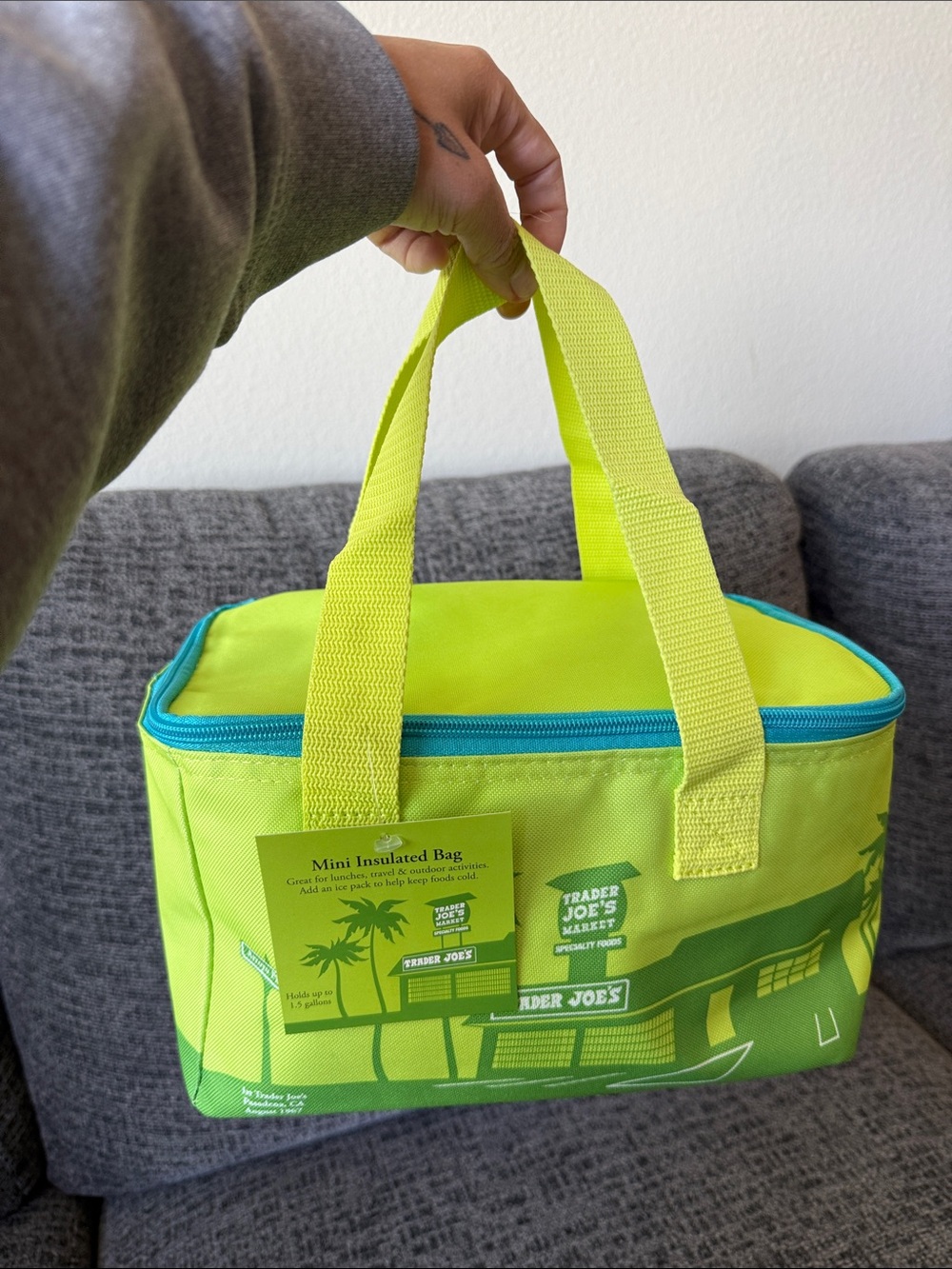 NWT Trader Joe’s Summer 2026 Mini Insulated Bag, Palm Green